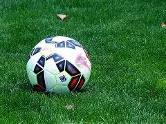 勒沃库森,大胜弗赖堡,维尔茨独造,万博manbetx体育平台,万博体育官网,万博体育app下载,ManBetX,SPORTS